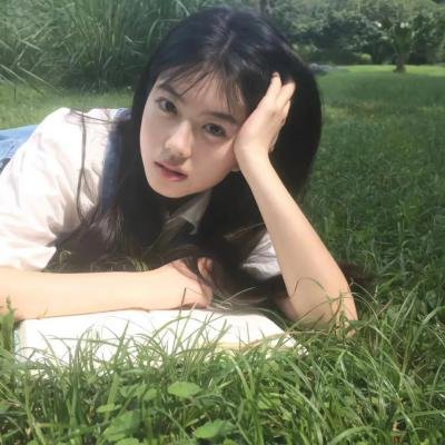 网中的太阳